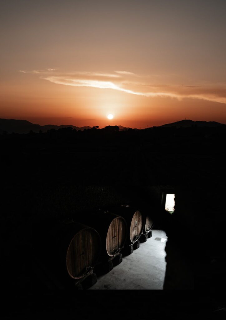 bo på vingård Etna