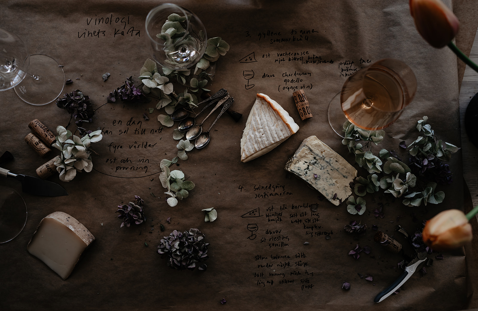 vinprovning hemma vinets karta middag med vänner skissa och smaka